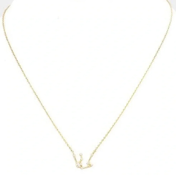 Capricorn 14k gold dipped necklace - Astrology Zodiac - Picture 2 of 4